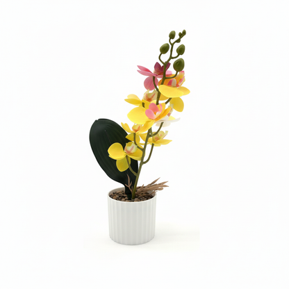 TABTA0124 03 top