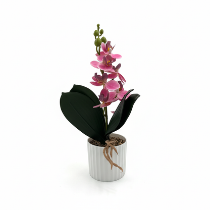 TABTA0124 01 front_45
